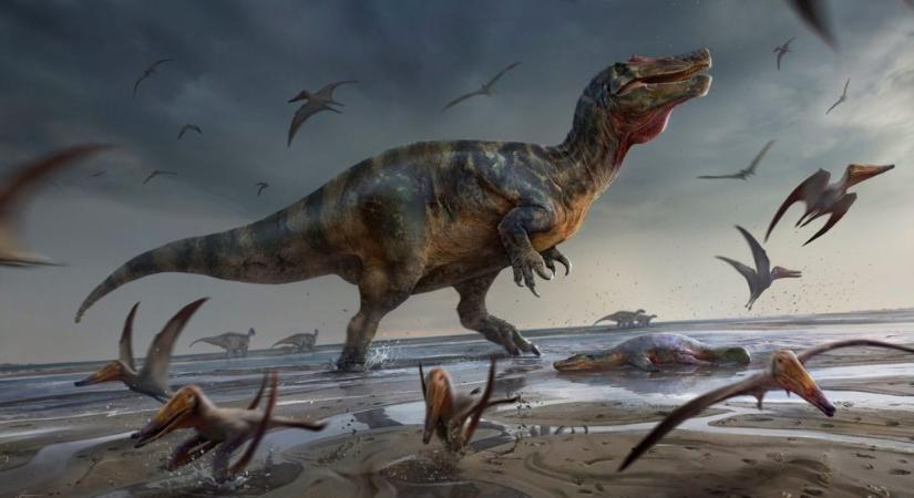 Hatalmas ragadozó dinoszaurusz a brit Wight-szigetről
