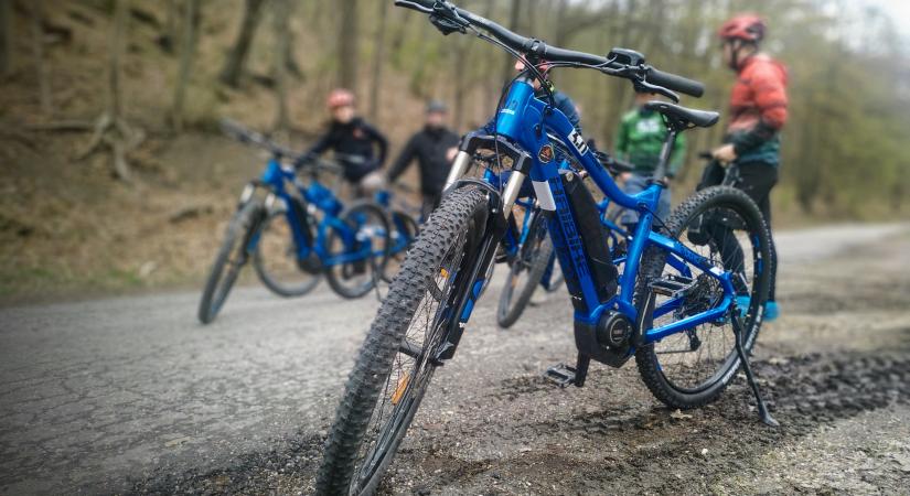 Nagyszabású erdei kerékpárút-felújításba kezd a Pilisi Parkerdő