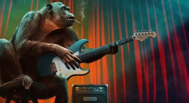 A majmok a zenét preferálják a videókkal szemben