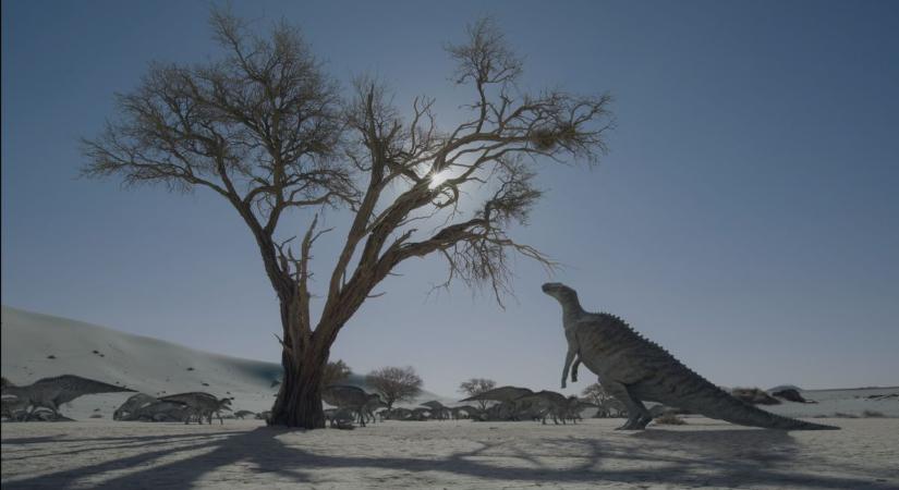 A megsajnálható T-rextől a horkoló dinoszauruszokig + képgaléria és videó