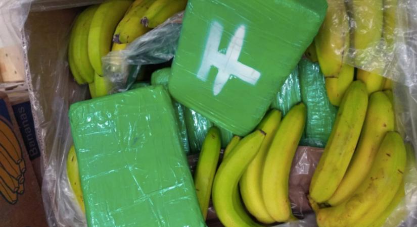 Banánok között találtak 840 kg kokaint Csehországban