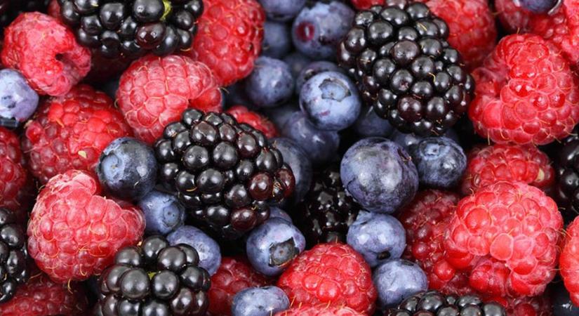 A nyár slágere: Zsírégető bogyós gyümölcs-diéta