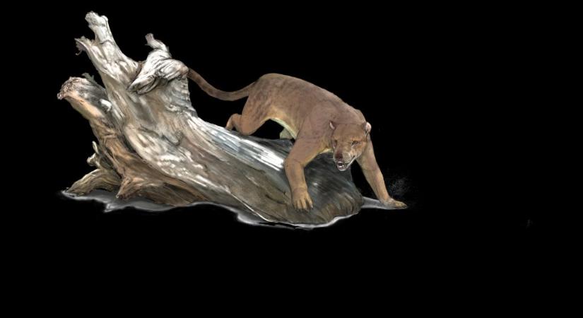 Óriási medvekutyák éltek Franciaország területén