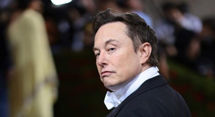 Elon Musk gyereke nemet és vezetéknevet is vált