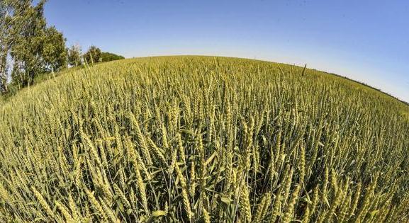 Magyarország zöld utat adott az ukrán gabonaexportnak - esti háborús összefoglaló