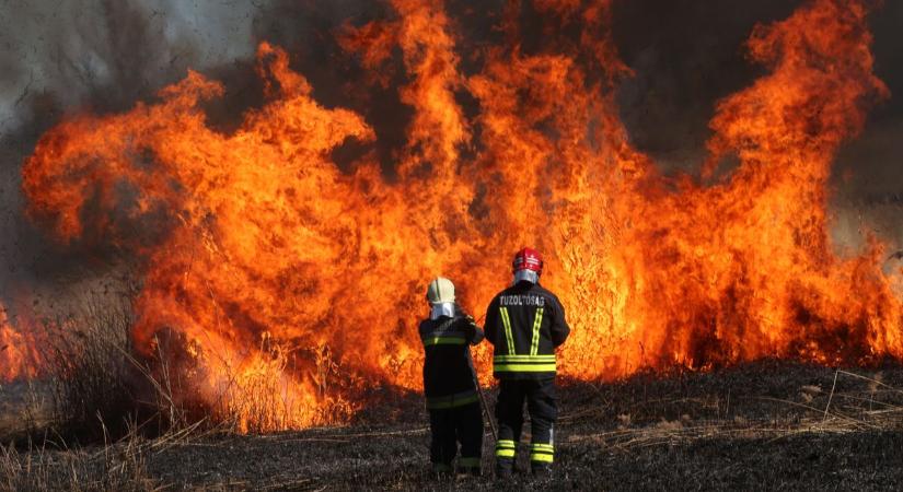 Tűz ütött ki Berettyóújfalu külterületén is, egy tanyát is veszélyeztetnek a lángok