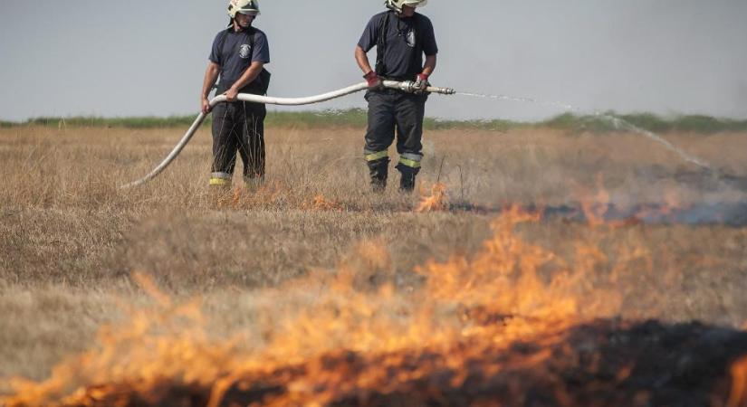 Hatalmas tűz volt Pocsaj és Berettyóújfalu térségében