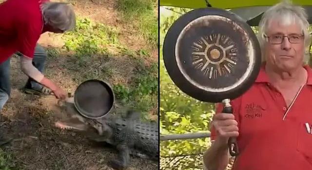 Hősként kezeli az internet az ausztrál férfit, aki egy serpenyővel üldözte el a támadó krokodilt