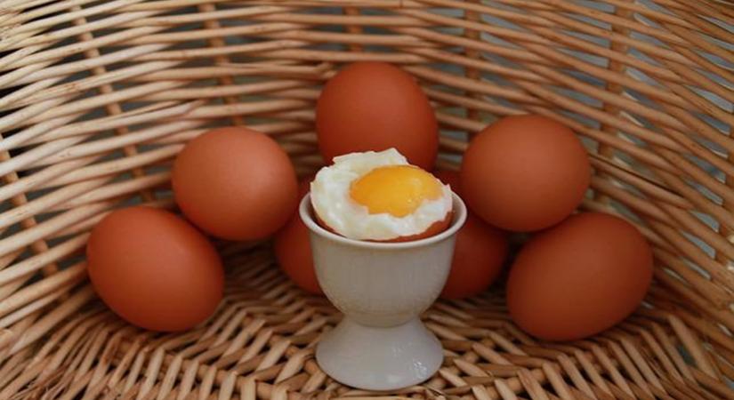 Egekben a tojás ára, vajon mikor áll meg a drágulás?