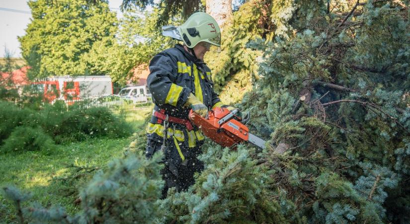 Karancsalján és Salgótarjánban is kidőlt fák adtak munkát a tűzoltóknak