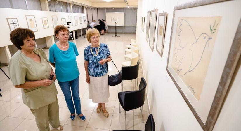 Picasso Salgótarjánban: újabb kivételes látnivalóval gazdagodott a múzeum