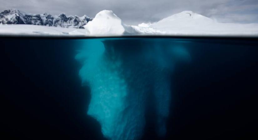 Rejtélyes világ bújik meg a sarki jég alatt: videón, ahogy a kutatók látták az élőlényeket