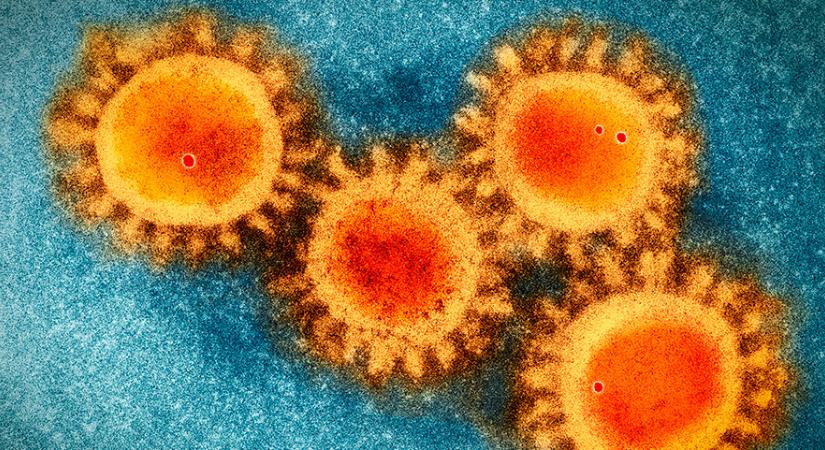 Csehországban ismét egyre több a koronavírusos beteg – új variáns szorítja ki az omikront