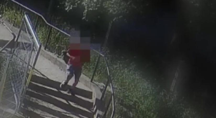 Letartóztatták a várandós nőre támadó katonát – videón a bizonyíték