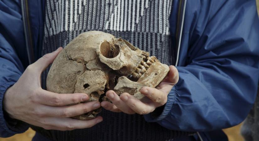 Emberi koponya darabokat találtak egy ferencvárosi lakás felújításakor