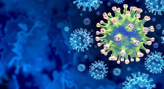 Durva károkat okozott a koronavírus, és ez egyre jobban látszik