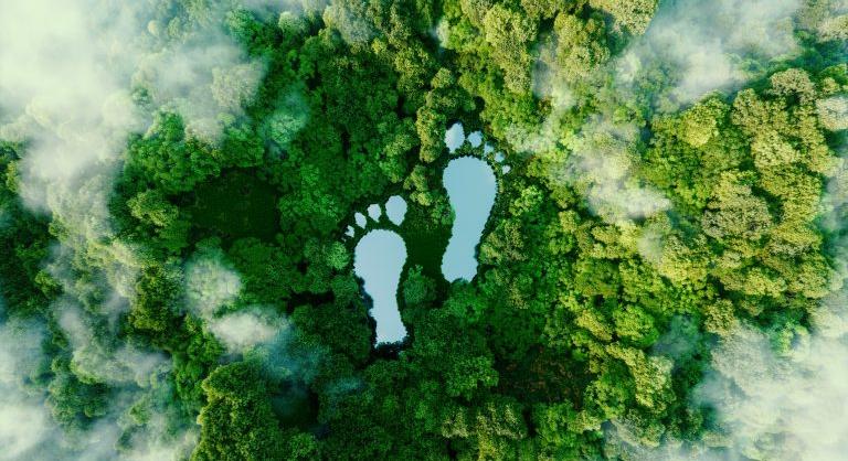 Már három egyszerű lépéssel csökkentheted az ökológiai lábnyomod
