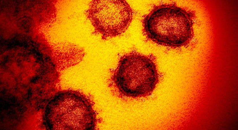 Koronavírus: megjöttek a legfrissebb adatok a világból