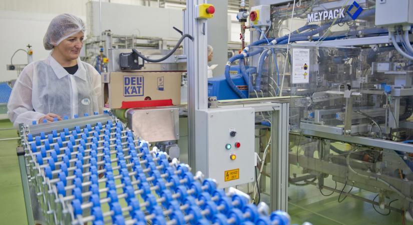 Az Unilever megszünteti a gyártást röszkei üzemében, a dolgozók 80 százalékát elküldik