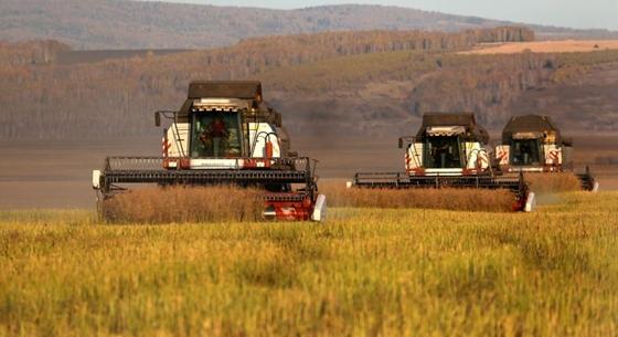 Magyar Nemzet: Biztosított a magyarországi gabonaellátás