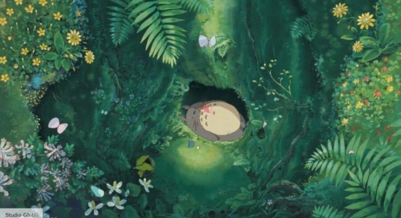 Közösségi gyűjtést szerveznek a mesehős, Totoro otthonáért