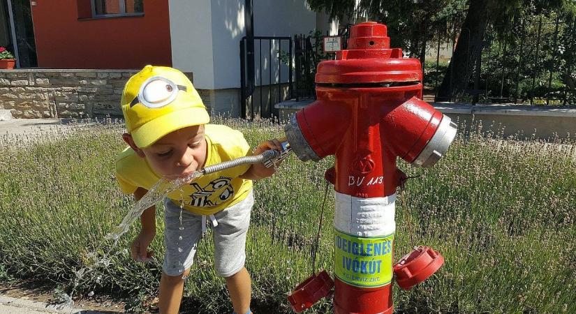Berobban a kánikula - Ivókutakkal készül Fehérvár a jövő heti hőségriadóra