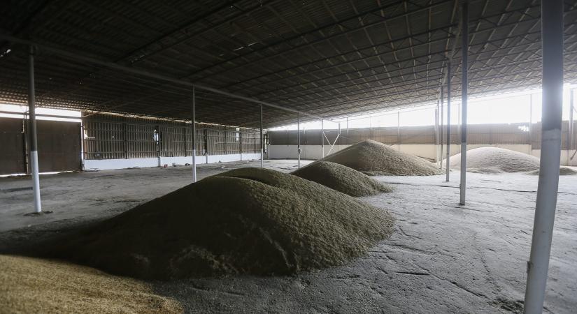 Ukrajna: Oroszország több mint 500 ezer tonna ukrán gabonát lopott el