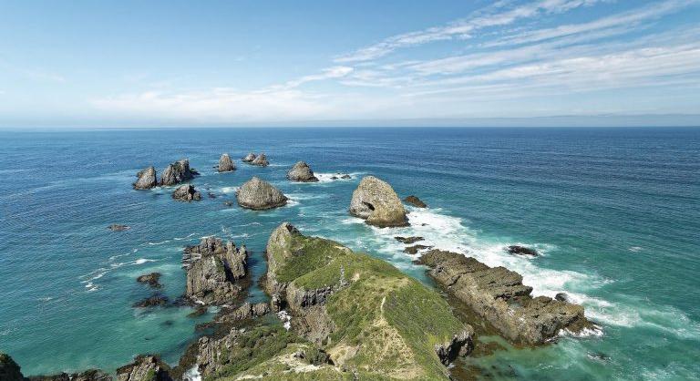 Az eddigi legnagyobb szivacsfehéredést tapasztalták Új-Zéland partjainál