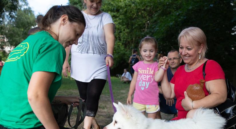 Újra várta a gyereket a Zalaegerszegi Család- és Gyermekjóléti Központ programja, a családi vakáció