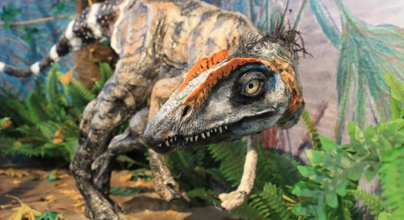 Dinoszauruszkiállítás készül Komlón
