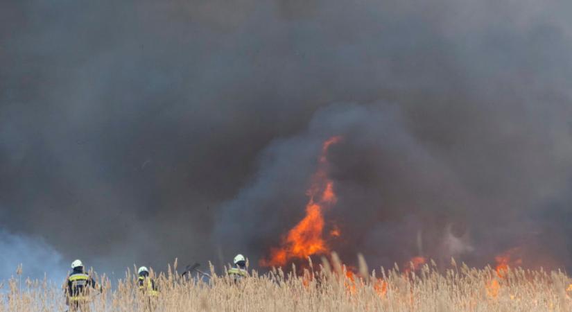 Katasztrófavédelem: a meleg miatt több a mezőgazdaságot érintő tűz