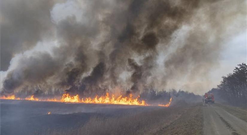 A hőség miatt brutálisan megnőtt a leégett területek nagysága idén