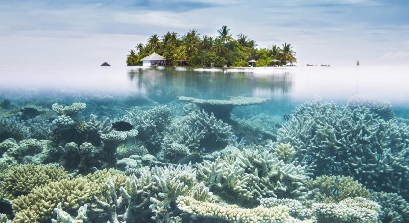 Úszó „szigetvárost” épít az óceánszint emelkedése miatt a kedvelt luxusnyaralóhely