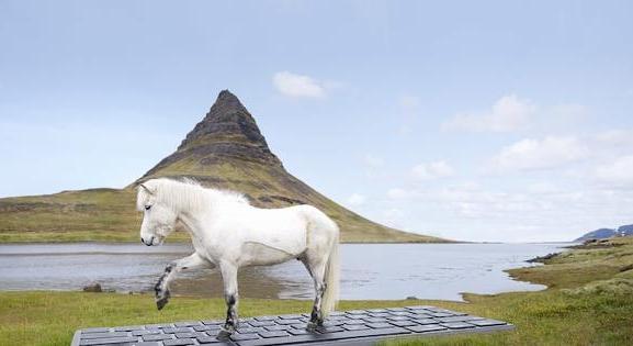 Míg nyaral, egy ló válaszol Izlandon az email-jeire