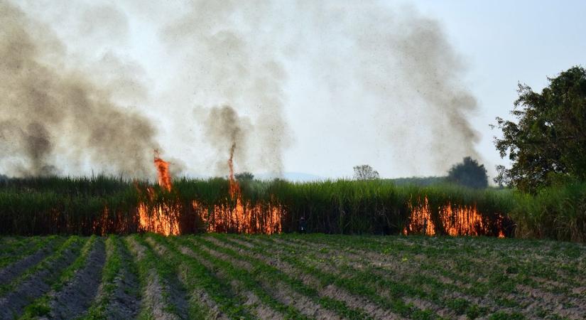 Egyre több mezőgazdasági tűzzel küzdenek a Jászkunságban