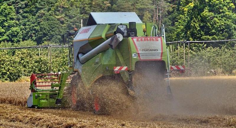 Negatív aratási rekordok várhatóak Békés megyében
