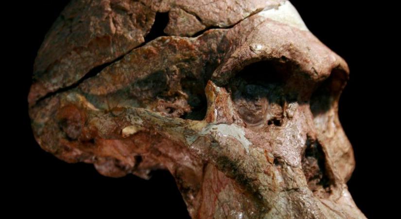 1 millió évvel öregebbek az emberiség bölcsőjéből előkerült legősibb leletek, mint azt eddig gondolták