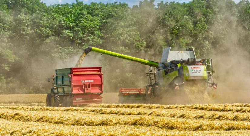 Aratás, termésvárakozások, terményárak – mire számíthatnak a magyar gazdák?