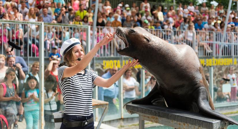Ismét a Nyíregyházi Állatpark lett kategóriájában Európa legjobb állatkertje