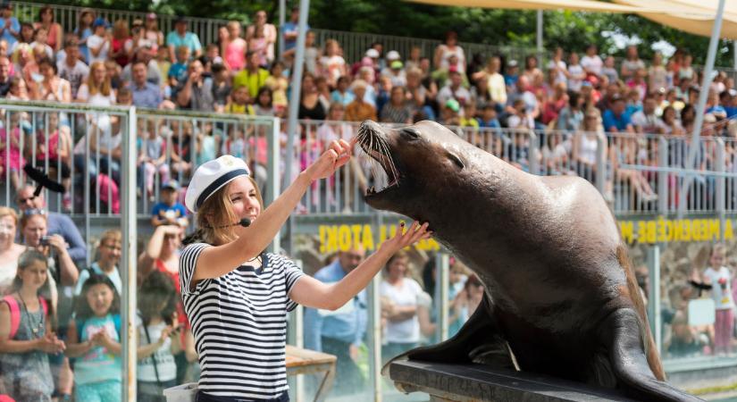 Imét Európa legjobbja lett a Nyíregyházi Állatpark a saját kategóriájában