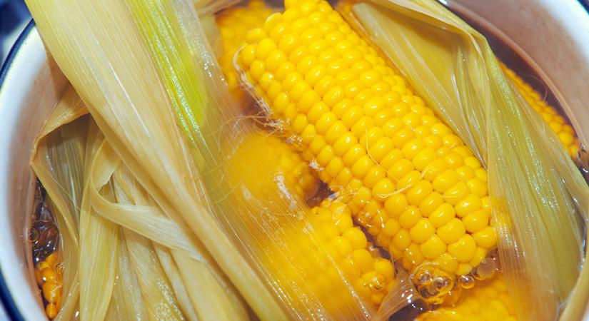 5 érdekesség a főtt kukoricáról, amit eddig nem tudtál