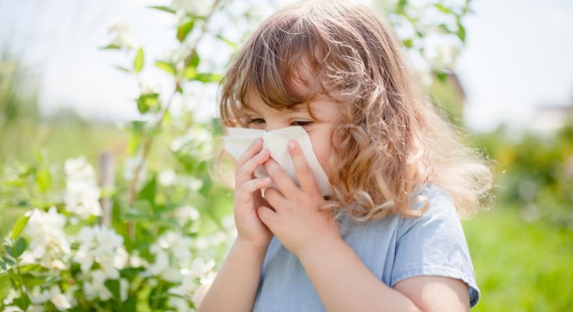 Kiderítettük, miért allergiás egyre több fiatal