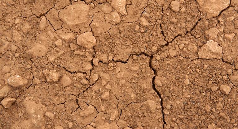 Pusztító szárazság tombol az Alföldön: itt már lehet, az öntözés sem segít