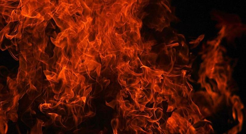 Ég a tarló Nagypiritnél - A tűz átterjedt egy fasorra is és mezőgazdasági terményeket veszélyeztet.