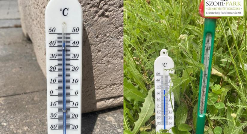 20 fokos különbséget mértek tegnap Szombathelyen a térköves és a vadvirágos talaj között