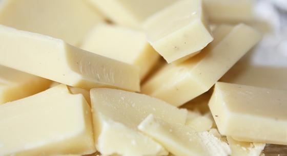 Újabb belga csokigyárban találtak szalmonellafertőzést okozó baktériumot