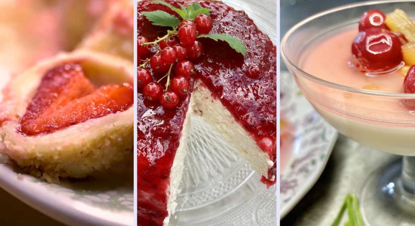 Epres csodák, ribizlis túrótorta és panna cotta – Borbás Marcsi 5 kedvenc sütés nélküli desszertje