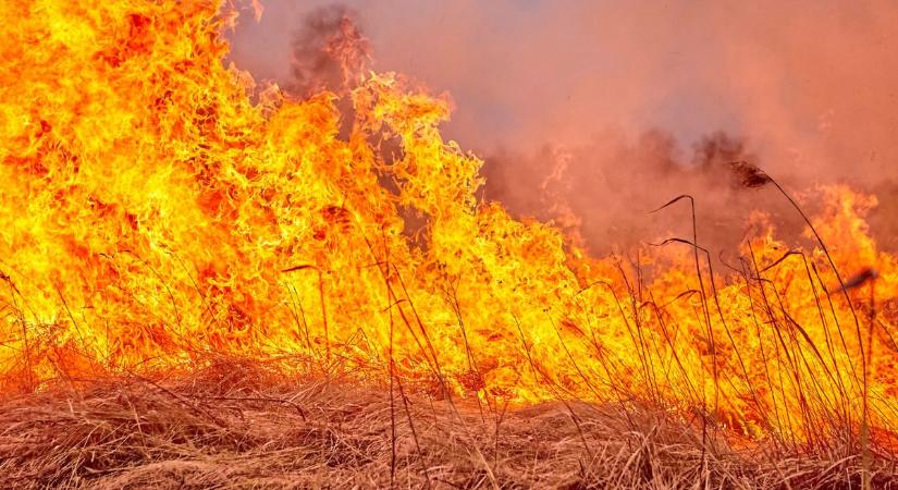 Tűz pusztított Mezőzombornál