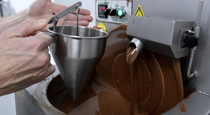 Szalmonellafertőzés: egy újabb belga csokoládégyárban találtak baktériumot