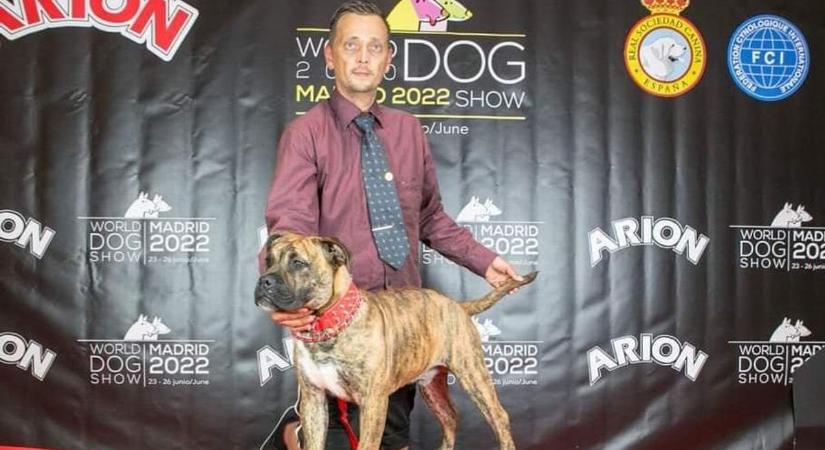Madridi világkiállításon aratott győzelmet a salgótarjáni kutyatenyésztő